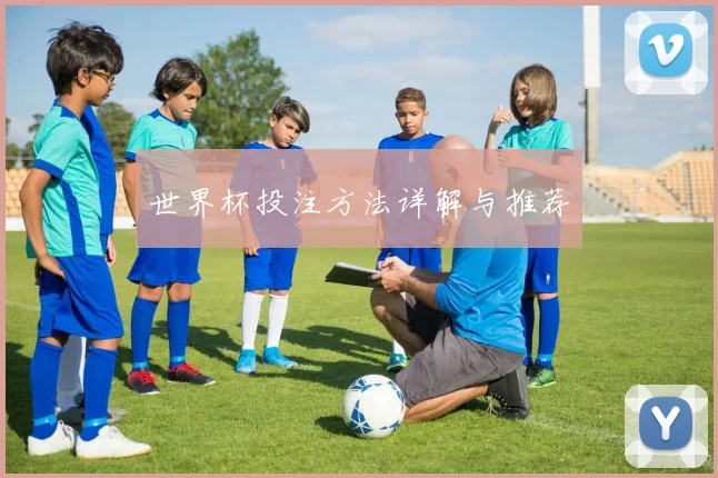 世界杯投注方法详解与推荐