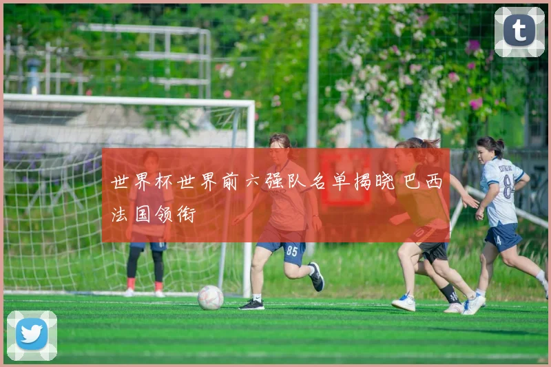 世界杯世界前六强队名单揭晓 巴西法国领衔