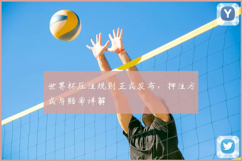 世界杯压注规则正式发布,押注方式与赔率详解