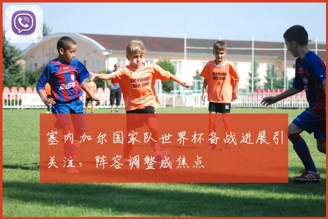 塞内加尔国家队世界杯备战进展引关注,阵容调整成焦点