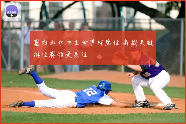 塞内加尔冲击世界杯席位 备战关键排位赛程受关注