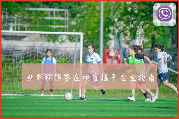 世界杯预赛在线直播平台全指南