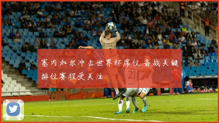塞内加尔冲击世界杯席位 备战关键排位赛程受关注