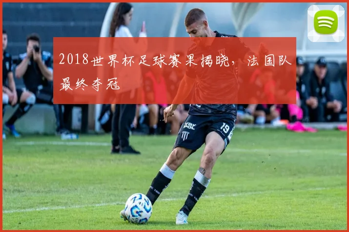 2018世界杯足球赛果揭晓,法国队最终夺冠